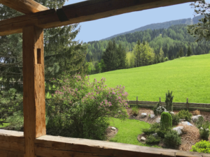 Chalet Tannenhof Lermoos Blick in den Garten