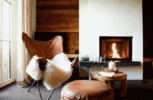 Kamin-Appartement „Bergfeuer“