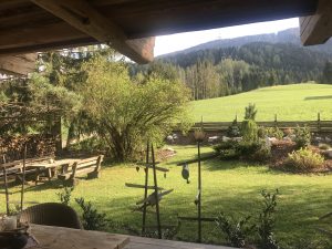 Chalet Tannenhof Blick in den Garten